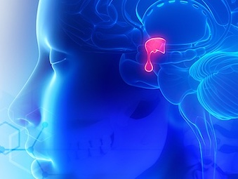 Pituitary And Neuroendocrine Disorders